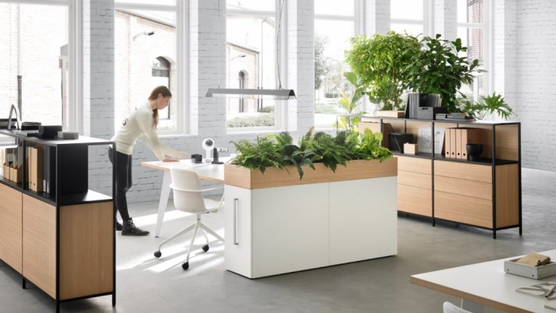 Comment protéger votre mobilier de bureau avec une assurance efficace